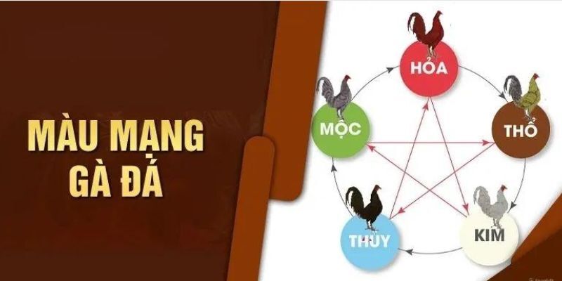 Quy Luật Tương Sinh – Tương Khắc Của Màu Mạng Gà